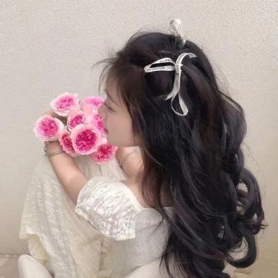 春天的麻雀